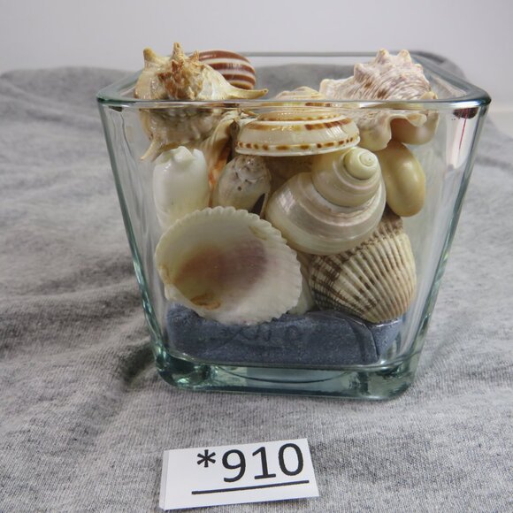 REAL Sea Shells in a Glass Square Vase and sand #8 - Picture 3 of 5